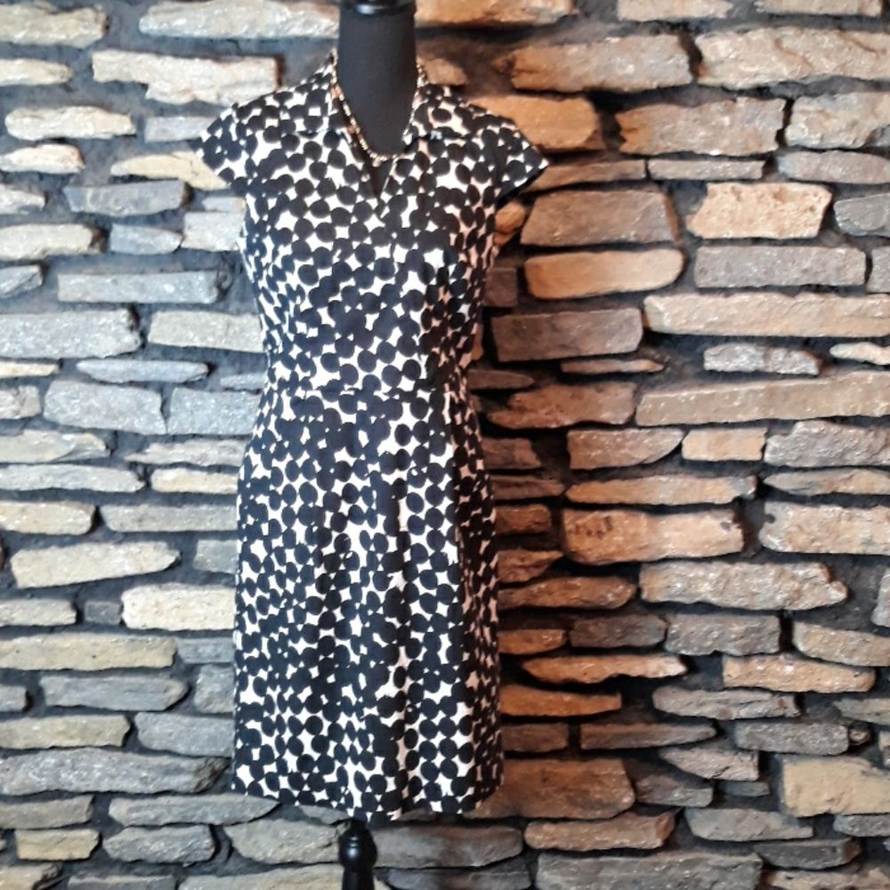 Ann Taylor polka dot black and white midi dress